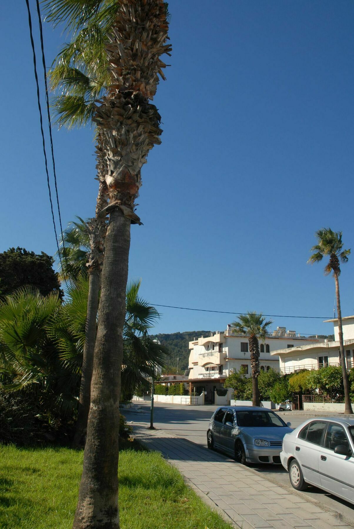 Takis Hotel Apartments Ialysos  Exterior photo